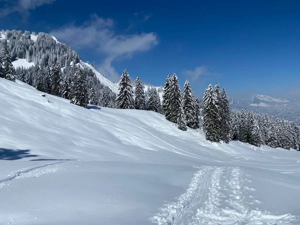 Nádherná Zimní Turistické Stezky Stopy Svazích Pohoří Alpstein Čerstvém Vysokohorském — Stock fotografie