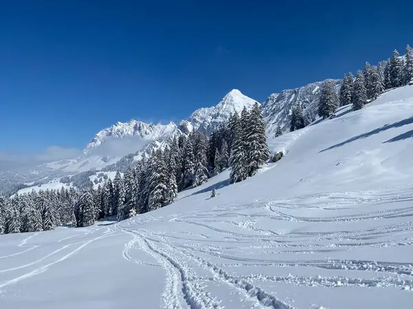 Wonderful Winter Hiking Trails Traces Slopes Alpstein Mountain Range Fresh — 스톡 사진