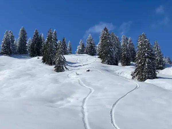 Maravilhosas Trilhas Para Caminhadas Inverno Traços Nas Encostas Cordilheira Alpstein — Fotografia de Stock