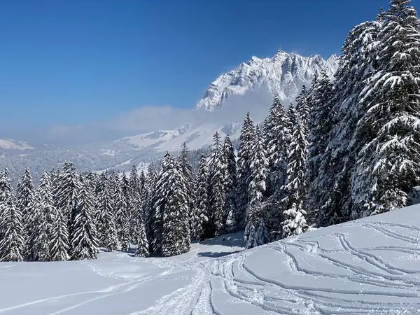 Nádherná Zimní Turistické Stezky Stopy Svazích Pohoří Alpstein Čerstvém Vysokohorském — Stock fotografie