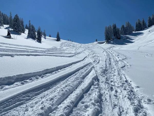 Alpstein dağlarının yamaçlarında ve İsviçre Alpleri 'nin taze dağlık kar örtüsünde, Nesslau - Obertoggenburg, İsviçre (Schweiz)