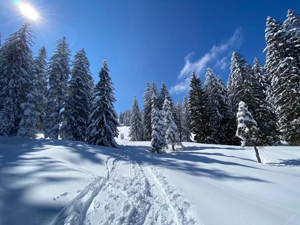 Wonderful Winter Hiking Trails Traces Slopes Alpstein Mountain Range Fresh —  Fotos de Stock