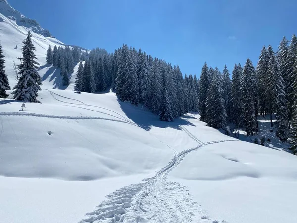 Wonderful Winter Hiking Trails Traces Slopes Alpstein Mountain Range Fresh — стокове фото