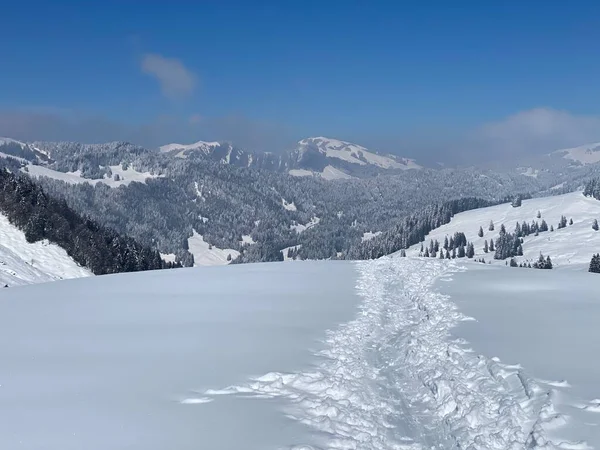 Wunderschöne Winterwanderwege Und Spuren Den Hängen Des Alpsteingebirges Und Der — Stockfoto