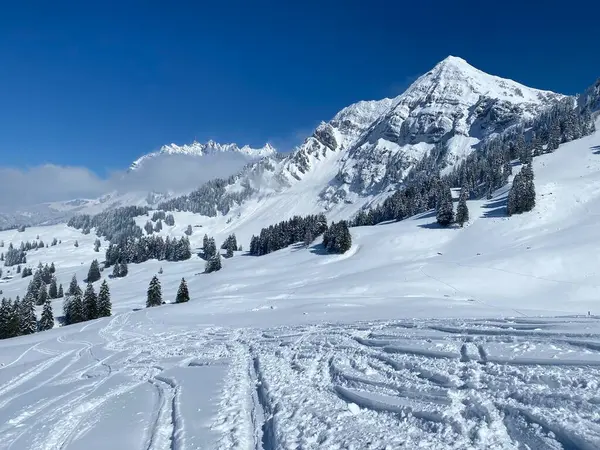 Alpstein Dağlarının Yamaçlarında Sviçre Alpleri Nin Taze Dağlık Kar Örtüsünde — Stok fotoğraf