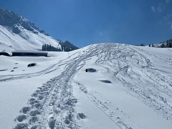 Alpstein dağlarının yamaçlarında ve İsviçre Alpleri 'nin taze dağlık kar örtüsünde, Nesslau - Obertoggenburg, İsviçre (Schweiz)