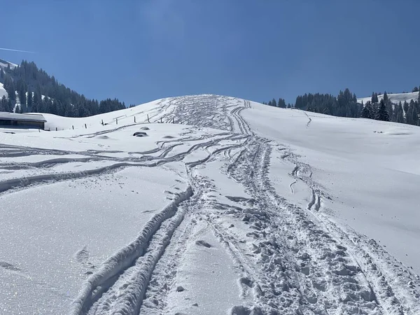 Alpstein dağlarının yamaçlarında ve İsviçre Alpleri 'nin taze dağlık kar örtüsünde, Nesslau - Obertoggenburg, İsviçre (Schweiz)