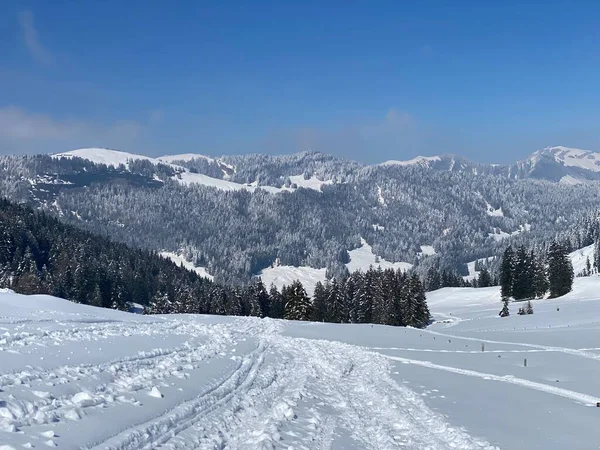 Wonderful Winter Hiking Trails Traces Slopes Alpstein Mountain Range Fresh — Fotografia de Stock