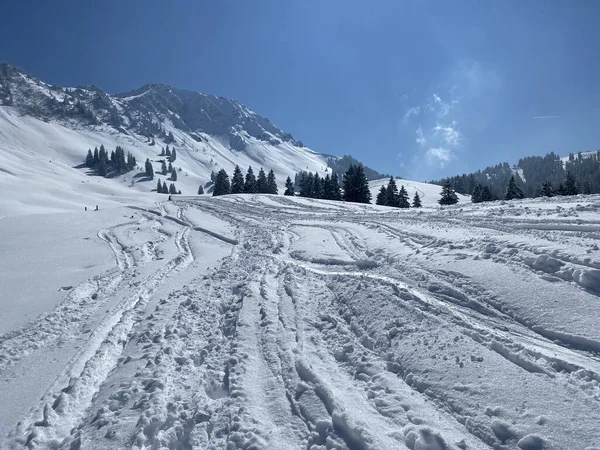 Alpstein dağlarının yamaçlarında ve İsviçre Alpleri 'nin taze dağlık kar örtüsünde, Nesslau - Obertoggenburg, İsviçre (Schweiz)