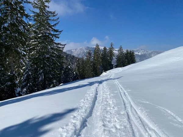 Wonderful Winter Hiking Trails Traces Slopes Alpstein Mountain Range Fresh — Stockfoto