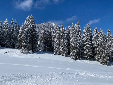 Obertoggenburg Alp Vadisi 'nde ve İsviçre' nin Nesslau, İsviçre 'de (Schweiz)