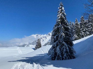 Obertoggenburg Alp Vadisi 'nde ve İsviçre' nin Nesslau, İsviçre 'de (Schweiz)
