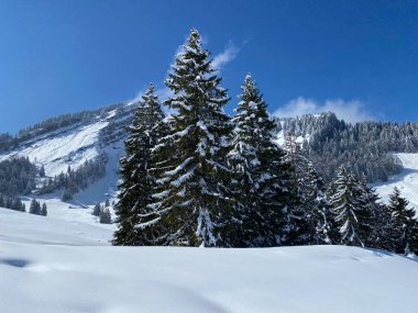 Obertoggenburg Alp Vadisi 'nde ve İsviçre' nin Nesslau, İsviçre 'de (Schweiz)