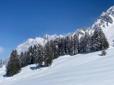 Obertoggenburg Alp Vadisi 'nde ve İsviçre' nin Nesslau, İsviçre 'de (Schweiz)