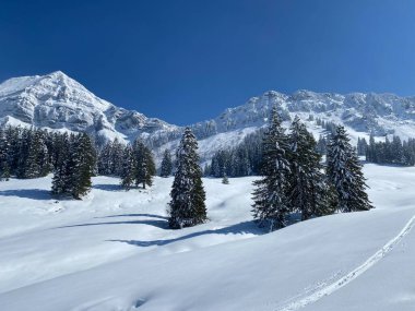 Obertoggenburg Alp Vadisi 'nde ve İsviçre' nin Nesslau, İsviçre 'de (Schweiz)