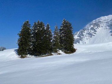 Obertoggenburg Alp Vadisi 'nde ve İsviçre' nin Nesslau, İsviçre 'de (Schweiz)