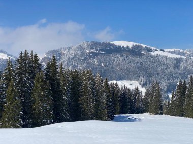 Obertoggenburg Alp Vadisi 'nde ve İsviçre' nin Nesslau, İsviçre 'de (Schweiz)