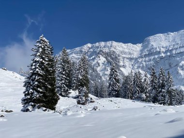 Obertoggenburg Alp Vadisi 'nde ve İsviçre' nin Nesslau, İsviçre 'de (Schweiz)