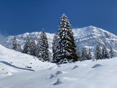 Obertoggenburg Alp Vadisi 'nde ve İsviçre' nin Nesslau, İsviçre 'de (Schweiz)