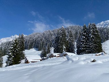 Obertoggenburg Alp Vadisi 'nde ve İsviçre' nin Nesslau, İsviçre 'de (Schweiz)
