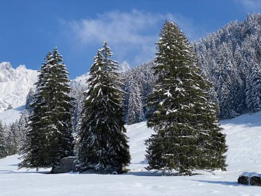 Obertoggenburg Alp Vadisi 'nde ve İsviçre' nin Nesslau, İsviçre 'de (Schweiz)
