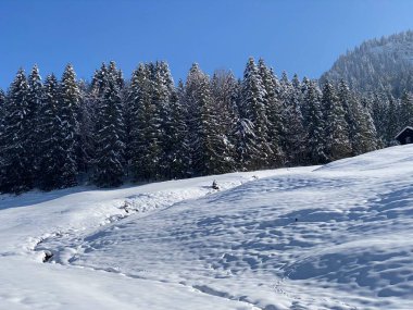 Obertoggenburg Alp Vadisi 'nde ve İsviçre' nin Nesslau, İsviçre 'de (Schweiz)