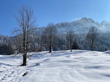 Obertoggenburg Alp Vadisi 'nde ve İsviçre' nin Nesslau, İsviçre 'de (Schweiz)