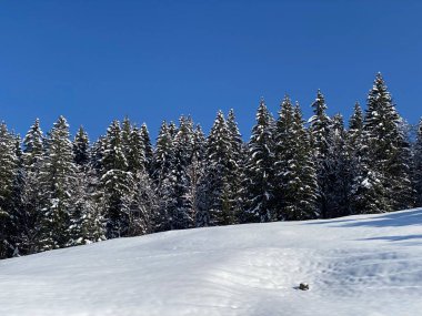 Obertoggenburg Alp Vadisi 'nde ve İsviçre' nin Nesslau, İsviçre 'de (Schweiz)