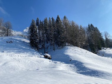 Obertoggenburg Alp Vadisi 'nde ve İsviçre' nin Nesslau, İsviçre 'de (Schweiz)