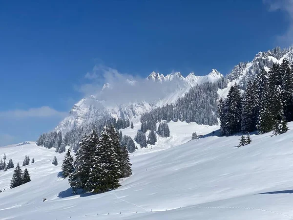 Obertoggenburg Alp Vadisi 'nde ve İsviçre' nin Nesslau, İsviçre 'de (Schweiz)