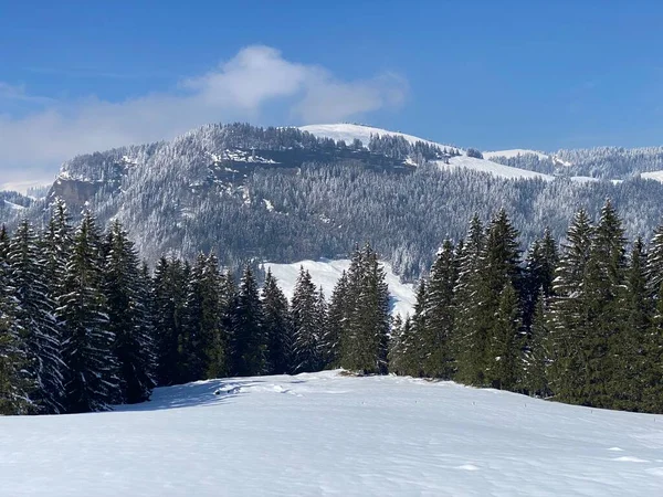 Pittoreska Toppar Alpina Träd Typisk Vinteratmosfär Efter Vårens Snöfall Över — Stockfoto