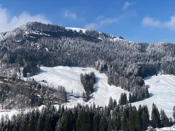 Schilderachtige Luifels Van Alpiene Bomen Een Typische Winterse Sfeer Voorjaarssneeuwval — Stockfoto