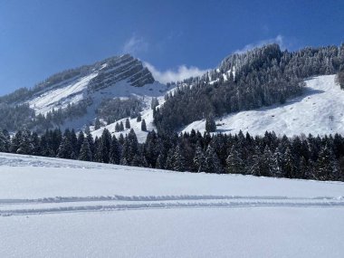 Peri masalı dağlarının kış atmosferi ve kar kaplı alp tepeleri Stockberg (1781 m) ve Chli Stockberg (1597 m) Alpstein dağı kütlesi, Nesslau - İsviçre 'nin Obertoggenburg bölgesinde (Schweiz)