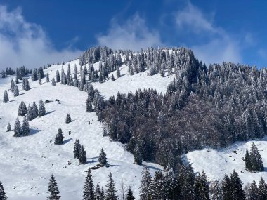 Alpstein dağ kütlesi, Nesslau - Obertoggenburg bölgesi, İsviçre (Schweiz) Peri masalı dağ atmosferi ve kar kaplı alp zirvesi Chli Stockberg (1597 m))