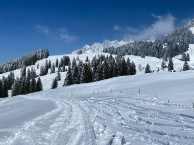 Alpstein dağlarının yamaçlarında ve İsviçre Alpleri 'nin taze dağlık kar örtüsünde, Nesslau - Obertoggenburg, İsviçre (Schweiz)