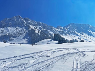 Alpstein dağlarının yamaçlarında ve İsviçre Alpleri 'nin taze dağlık kar örtüsünde, Nesslau - Obertoggenburg, İsviçre (Schweiz)