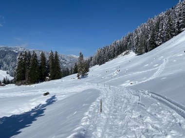Alpstein dağlarının yamaçlarında ve İsviçre Alpleri 'nin taze dağlık kar örtüsünde, Nesslau - Obertoggenburg, İsviçre (Schweiz)