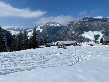 Alpstein dağlarının yamaçlarında ve İsviçre Alpleri 'nin taze dağlık kar örtüsünde, Nesslau - Obertoggenburg, İsviçre (Schweiz)