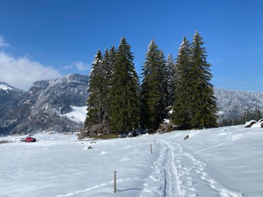 Alpstein dağlarının yamaçlarında ve İsviçre Alpleri 'nin taze dağlık kar örtüsünde, Nesslau - Obertoggenburg, İsviçre (Schweiz)