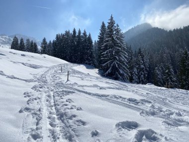 Alpstein dağlarının yamaçlarında ve İsviçre Alpleri 'nin taze dağlık kar örtüsünde, Nesslau - Obertoggenburg, İsviçre (Schweiz)