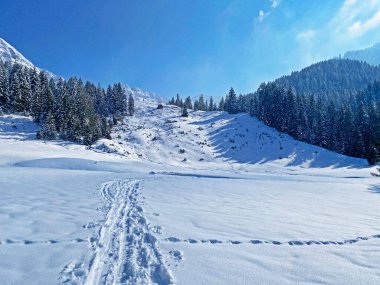 Alpstein dağlarının yamaçlarında ve İsviçre Alpleri 'nin taze dağlık kar örtüsünde, Nesslau - Obertoggenburg, İsviçre (Schweiz)