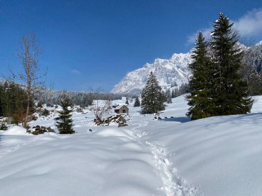 Alpstein dağlarının yamaçlarında ve İsviçre Alpleri 'nin taze dağlık kar örtüsünde, Nesslau - Obertoggenburg, İsviçre (Schweiz)