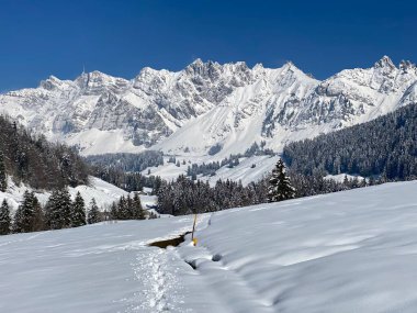 Alpstein dağlarının yamaçlarında ve İsviçre Alpleri 'nin taze dağlık kar örtüsünde, Nesslau - Obertoggenburg, İsviçre (Schweiz)