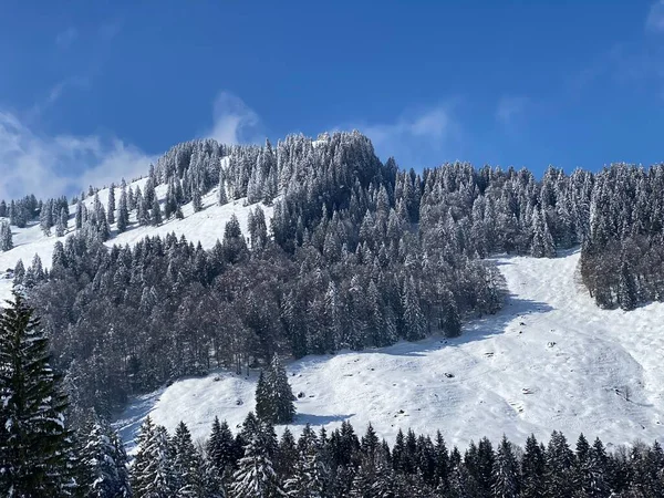 Conte Fées Atmosphère Hivernale Alpine Sommet Alpin Enneigé Chli Stockberg — Photo