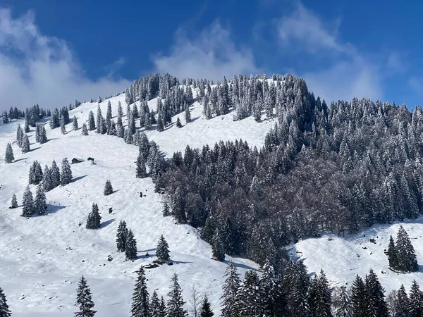 Fairytale Alpine Winter Atmosphere Snow Capped Alpine Peak Chli Stockberg — Stock Photo, Image
