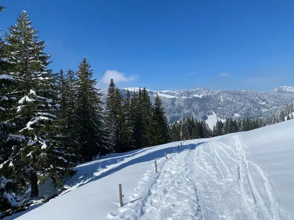 Wonderful Winter Hiking Trails Traces Slopes Alpstein Mountain Range Fresh — Foto Stock