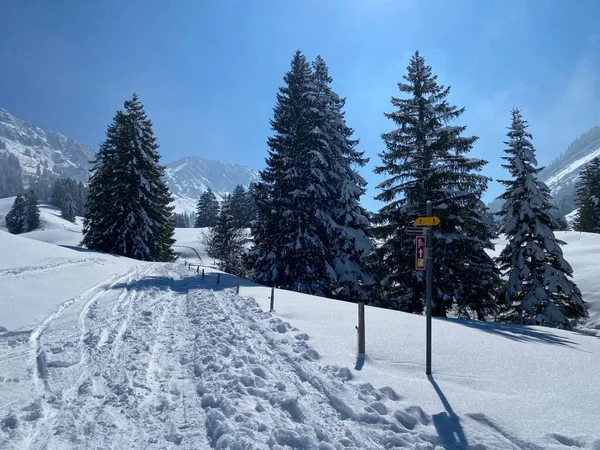 素晴らしい冬のハイキングコースとアルプシュタイン山脈の斜面やスイスアルプス ネスラウの新鮮な高山雪のカバーでの痕跡 Obertoggenburg Switzerland スイス — ストック写真