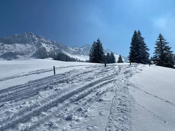 Underbara Vandringsleder Och Spår Vintern Alpina Bergskedjans Sluttningar Och Det — Stockfoto