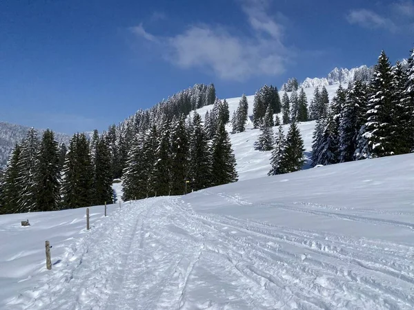Wonderful Winter Hiking Trails Traces Slopes Alpstein Mountain Range Fresh — Zdjęcie stockowe
