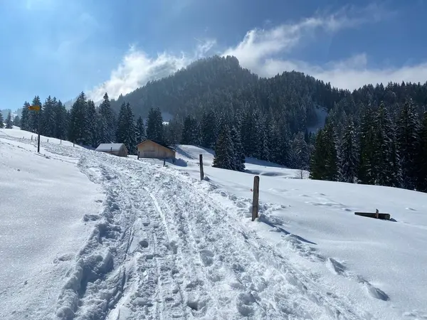 Wonderful Winter Hiking Trails Traces Slopes Alpstein Mountain Range Fresh —  Fotos de Stock